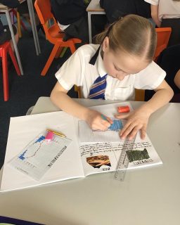 Last week Y5 learnt about the different climate zones and created graphs showing the average temperature and precipitation. #geography